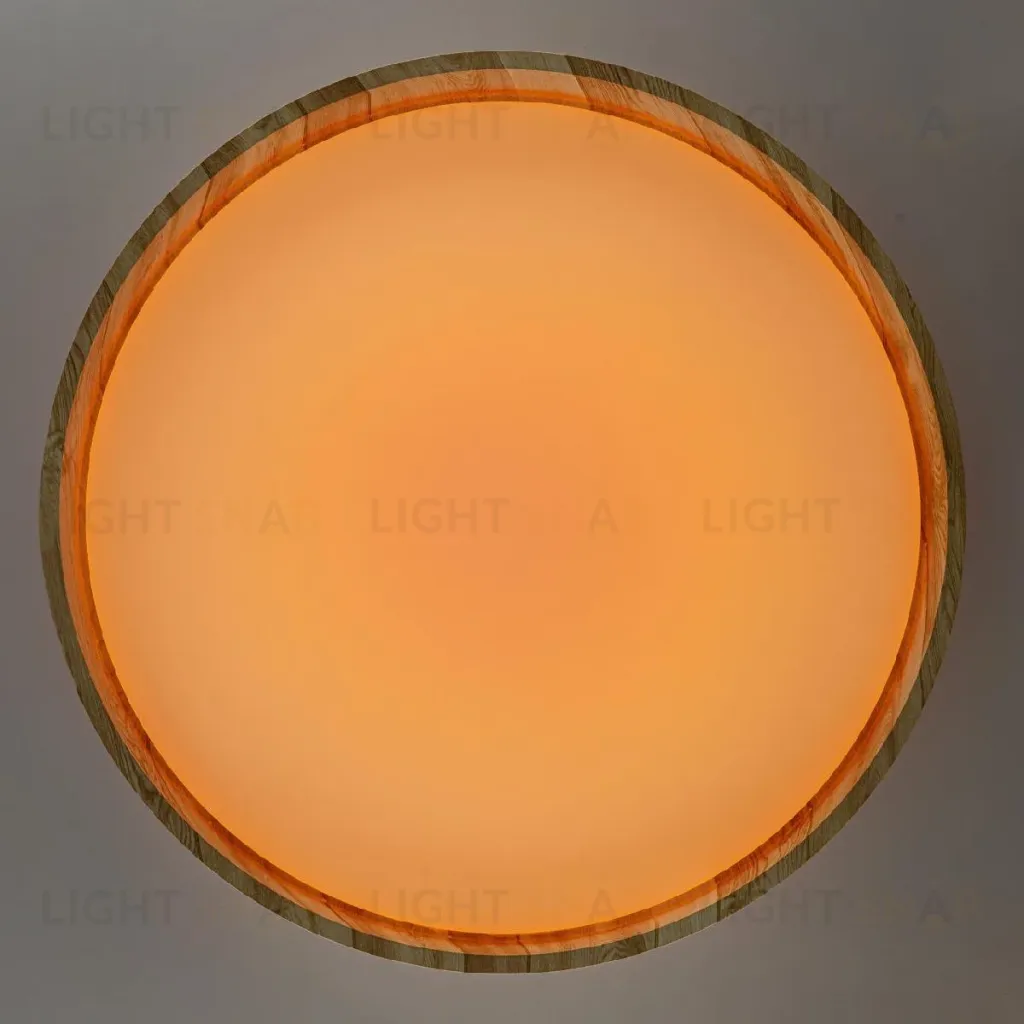 Потолочный светильник Citilux Enzo CL753452G CL753452G