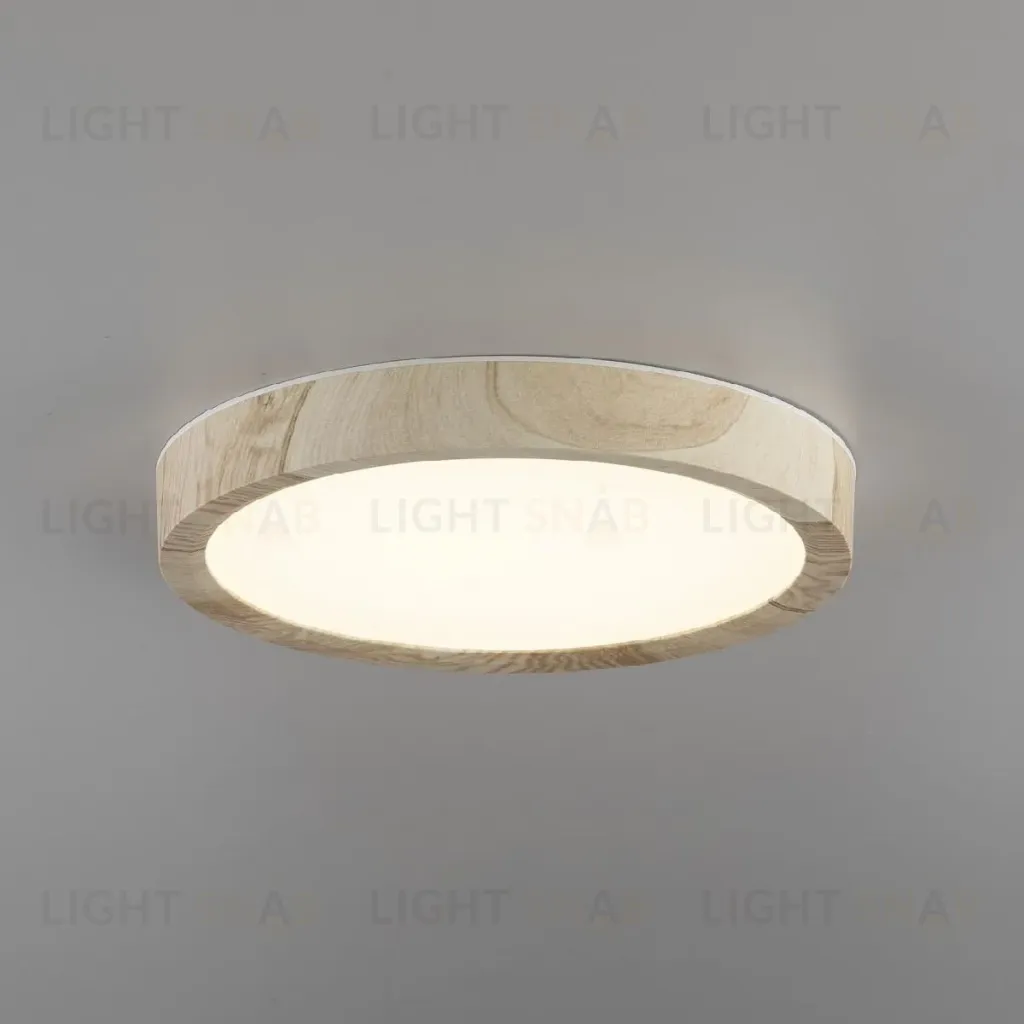 Потолочный светильник Citilux Бейсик CL738122N CL738122N