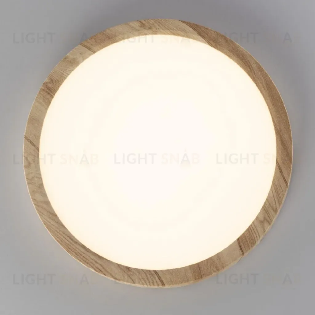 Потолочный светильник Citilux Бейсик CL738182V CL738182V