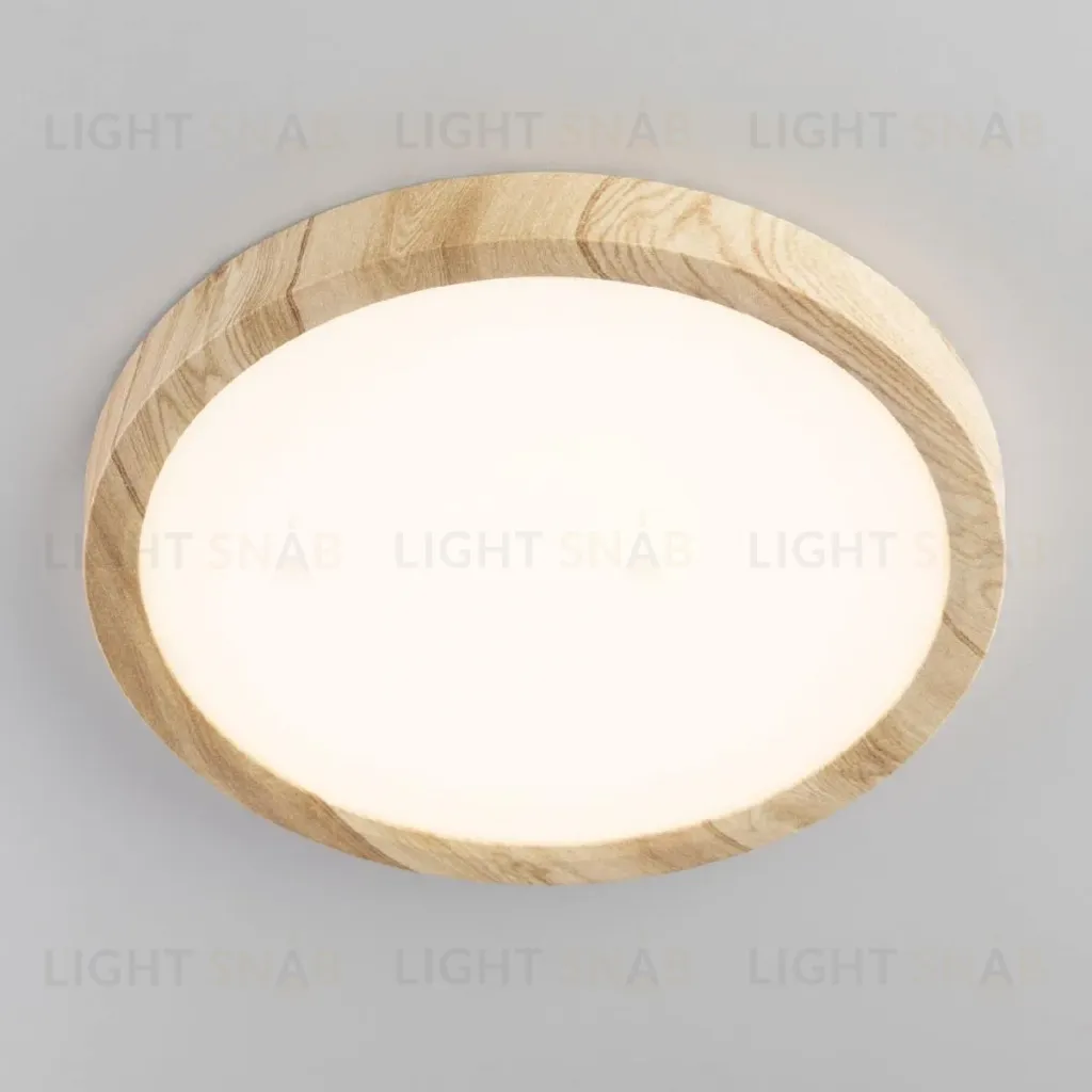 Потолочный светильник Citilux Бейсик CL738182V CL738182V