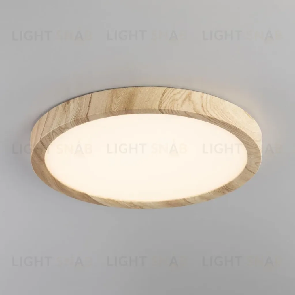 Потолочный светильник Citilux Бейсик CL738182V CL738182V