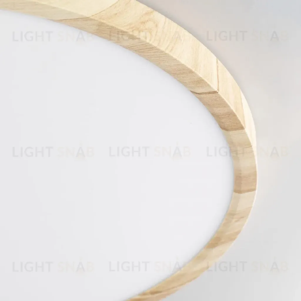 Потолочный светильник Citilux Бейсик CL738322V CL738322V