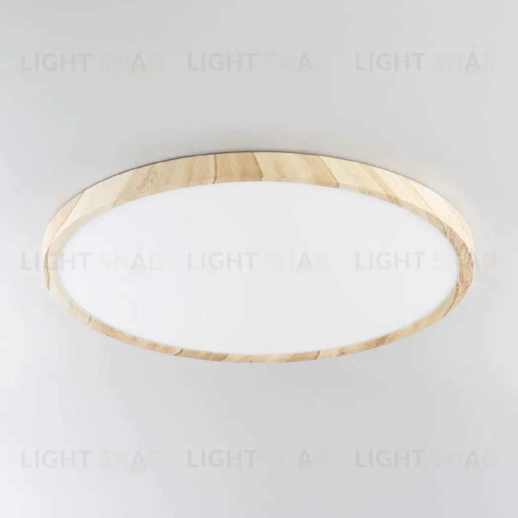 Потолочный светильник Citilux Бейсик CL738322V CL738322V
