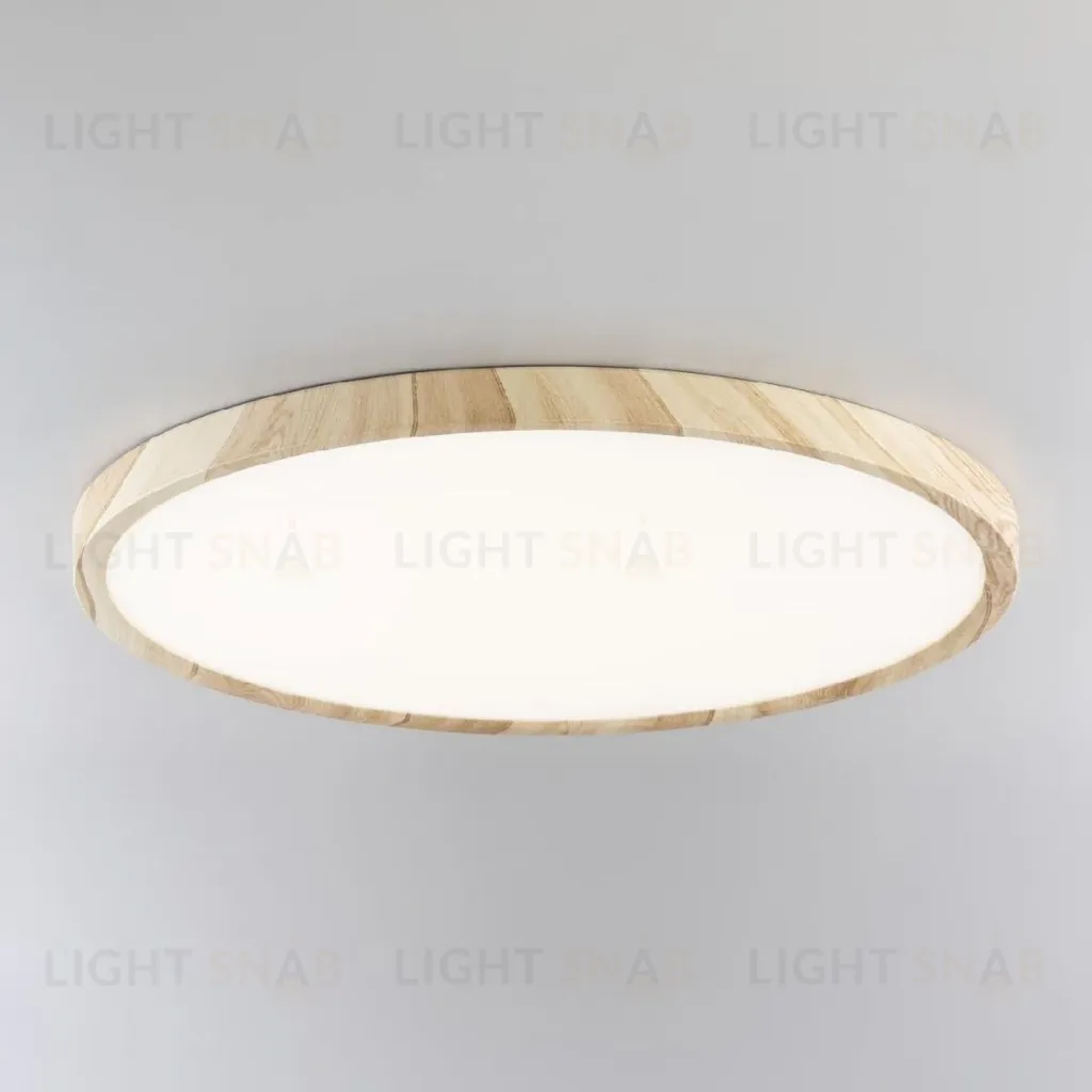 Потолочный светильник Citilux Бейсик CL738322V CL738322V