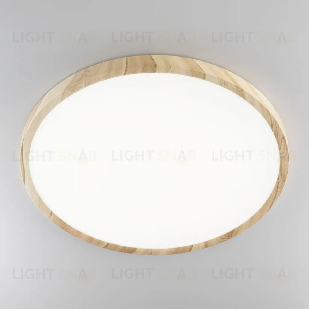Потолочный светильник Citilux Бейсик CL738322V CL738322V