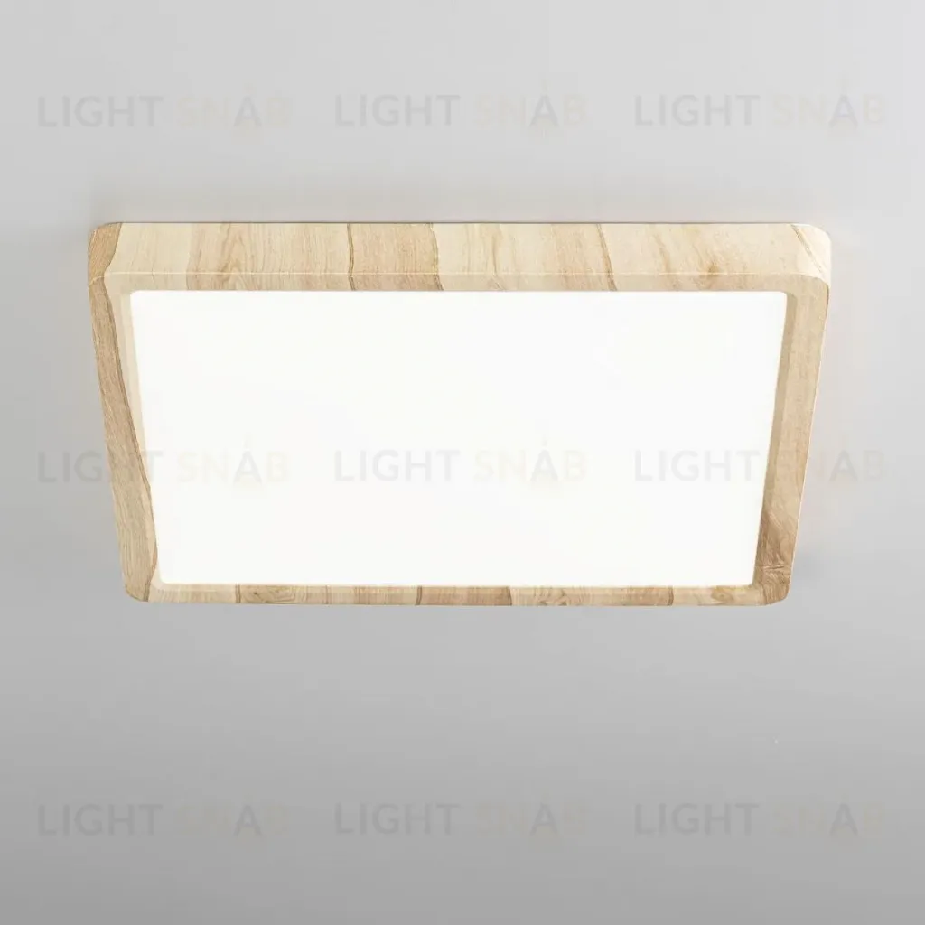 Потолочный светильник Citilux Бейсик CL738K242V CL738K242V
