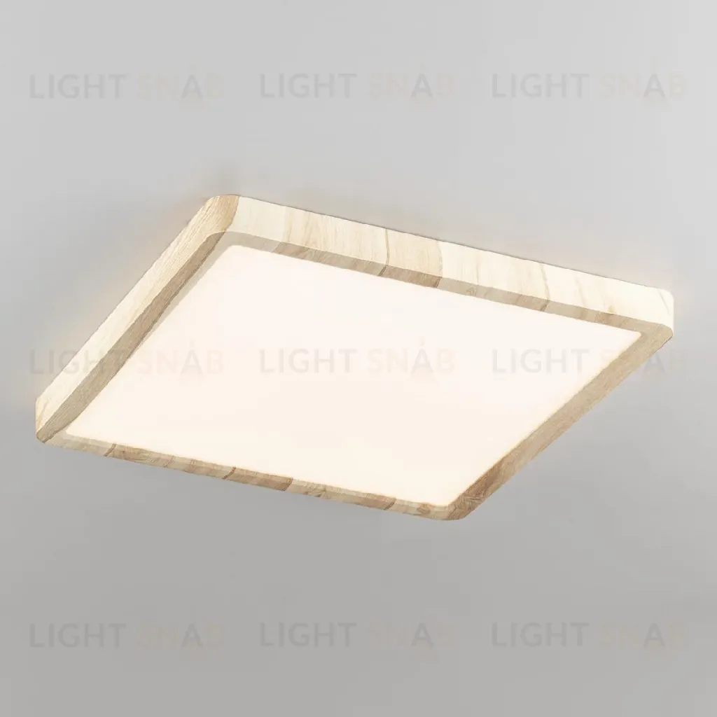 Потолочный светильник Citilux Бейсик CL738K242V CL738K242V