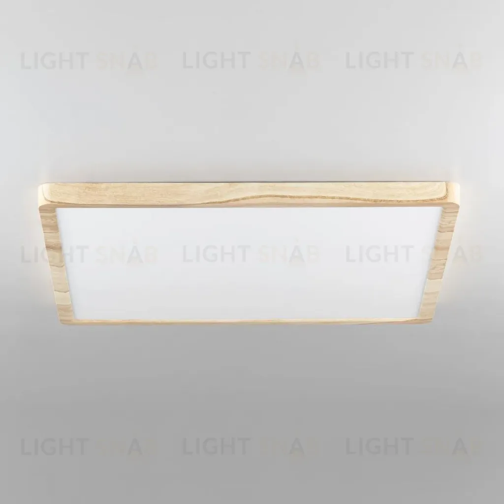 Потолочный светильник Citilux Бейсик CL738K502V CL738K502V