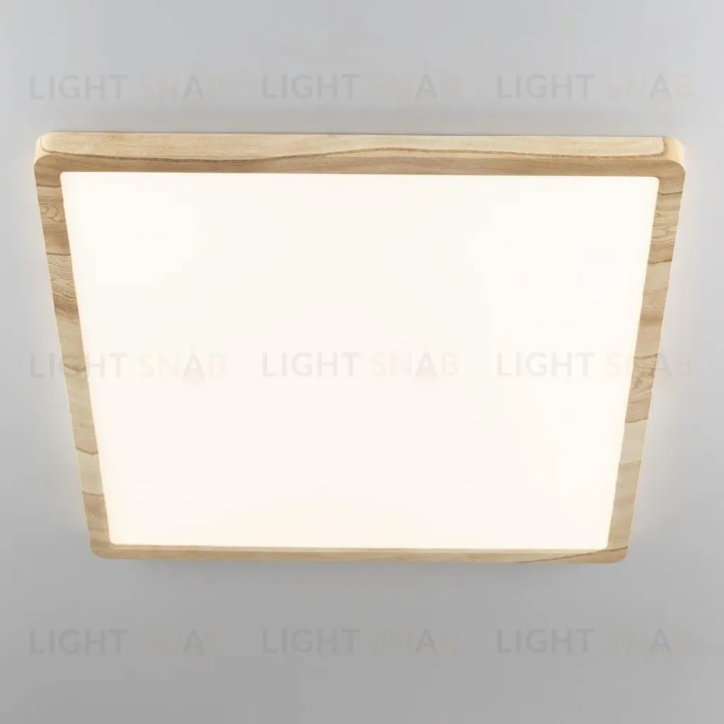 Потолочный светильник Citilux Бейсик CL738K502V CL738K502V