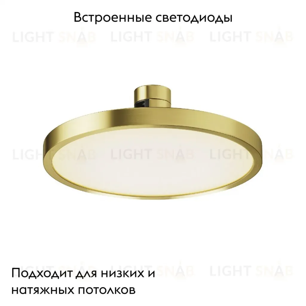 Трековый магнитный светильник Maytoni Plato TR153-1-10W3K-BS TR153-1-10W3K-BS