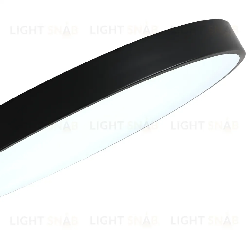 Потолочный светильник Zortes Tortty ZRS.02563.120 ZRS.02563.120