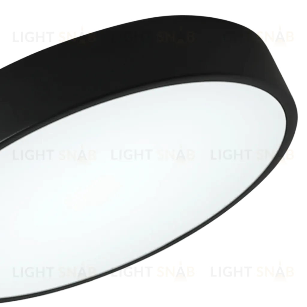 Потолочный светильник Zortes Tortty ZRS.02563.48 ZRS.02563.48