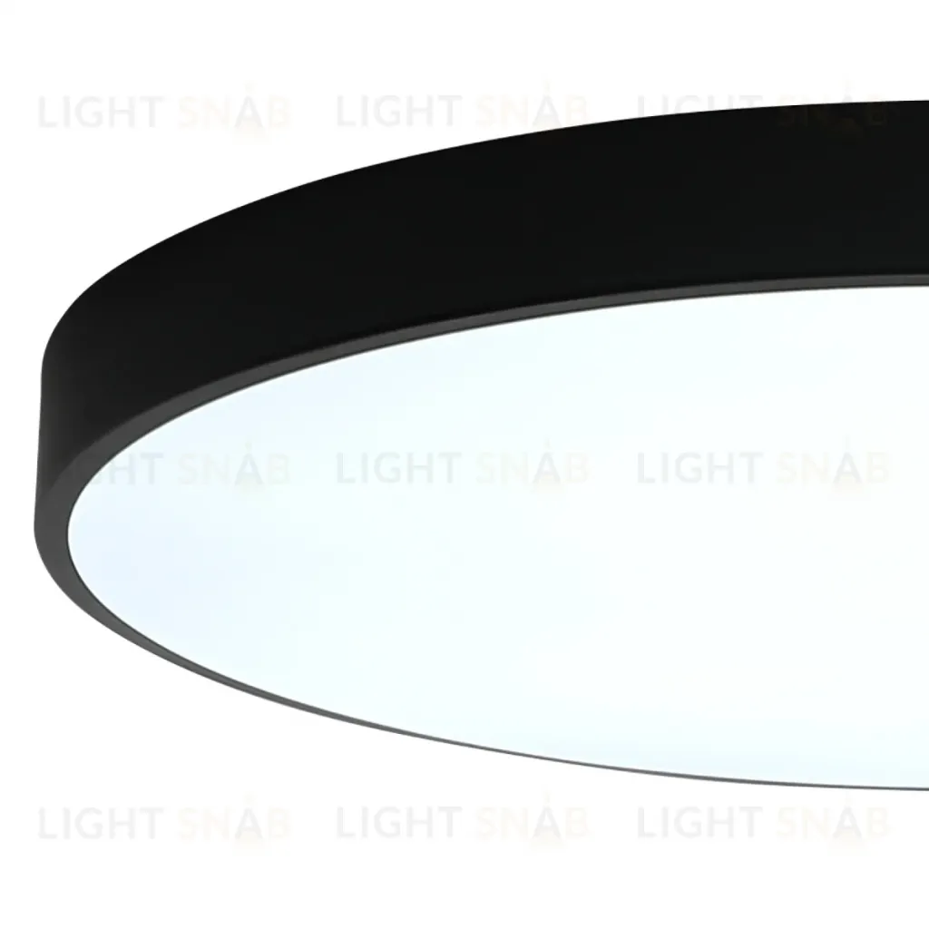 Потолочный светильник Zortes Tortty ZRS.02563.72 ZRS.02563.72
