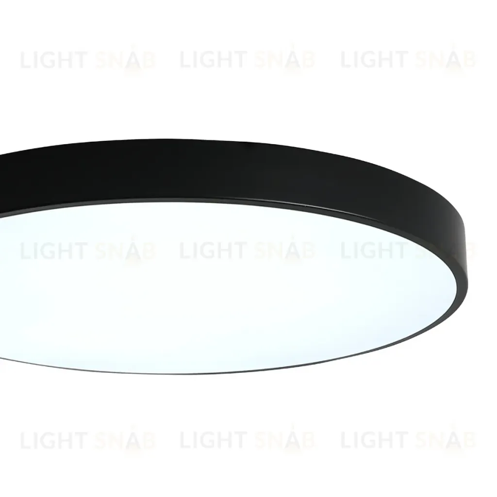Потолочный светильник Zortes Tortty ZRS.02563.72 ZRS.02563.72