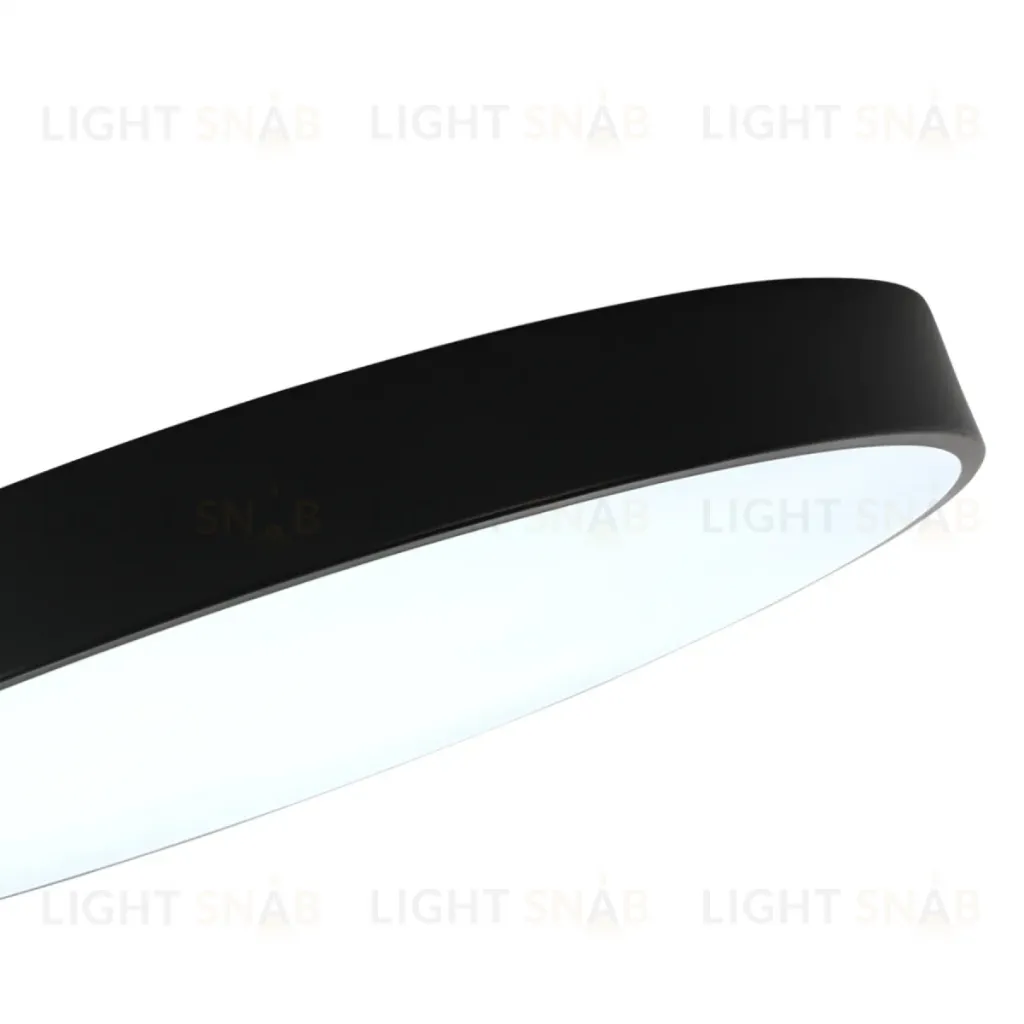 Потолочный светильник Zortes Tortty ZRS.02563.96 ZRS.02563.96