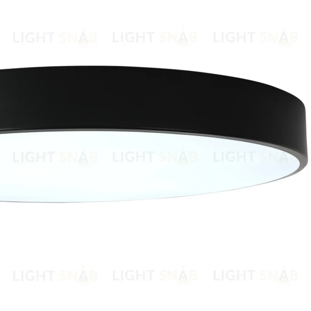 Потолочный светильник Zortes Tortty ZRS.02563.96 ZRS.02563.96
