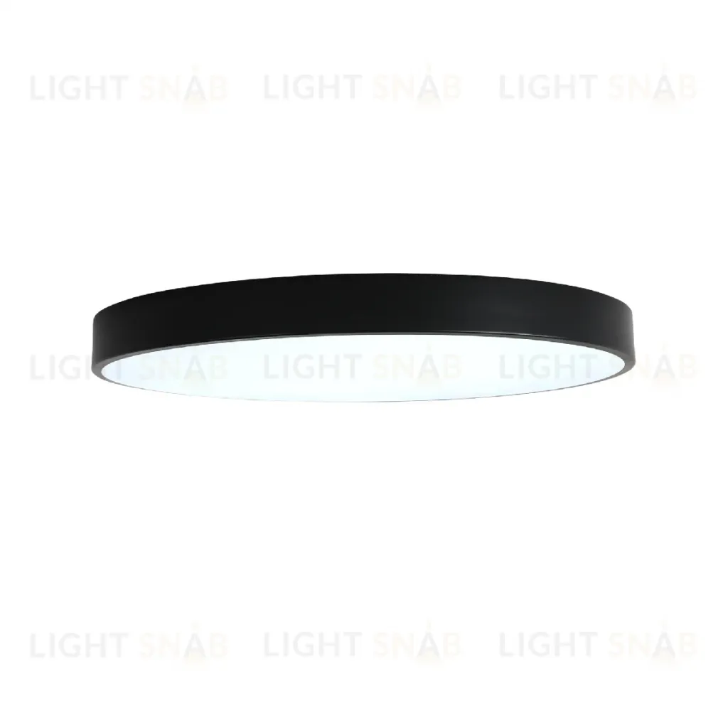 Потолочный светильник Zortes Tortty ZRS.02563.96 ZRS.02563.96