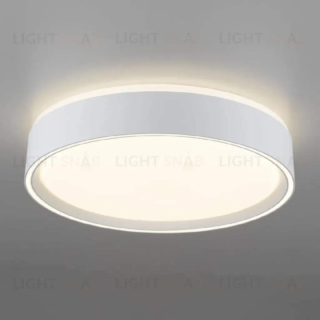 Потолочный светильник Citilux Boss CL751250G CL751250G