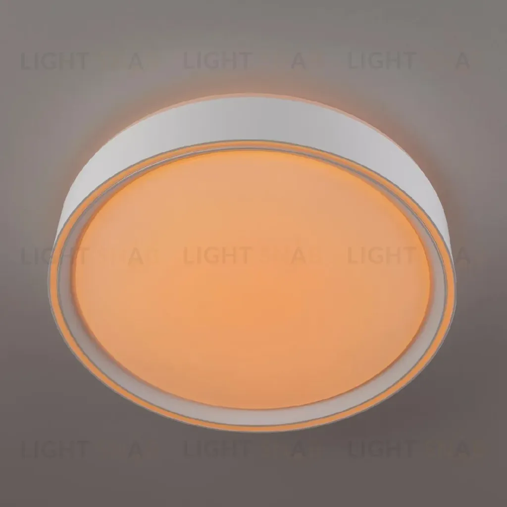 Потолочный светильник Citilux Boss CL751250G CL751250G