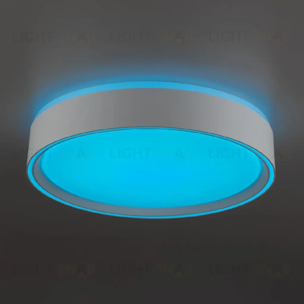 Потолочный светильник Citilux Boss CL751250G CL751250G