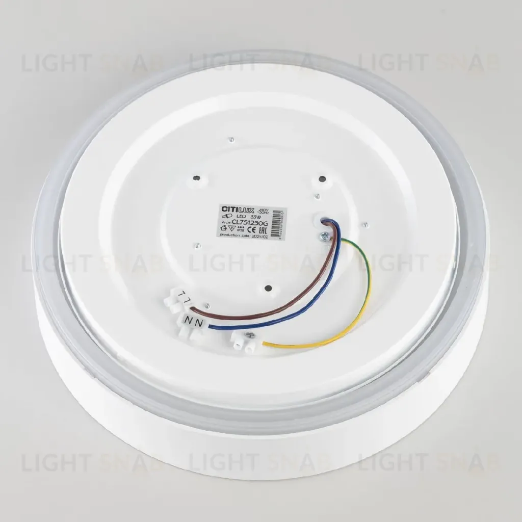 Потолочный светильник Citilux Boss CL751250G CL751250G