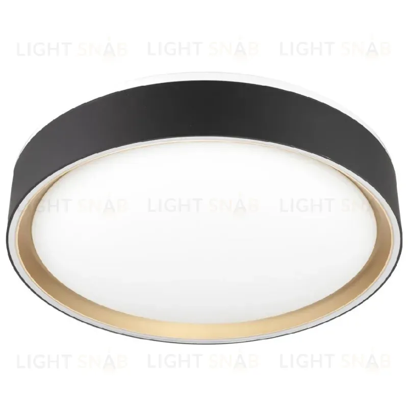 Потолочный светильник Citilux Boss CL751251G CL751251G