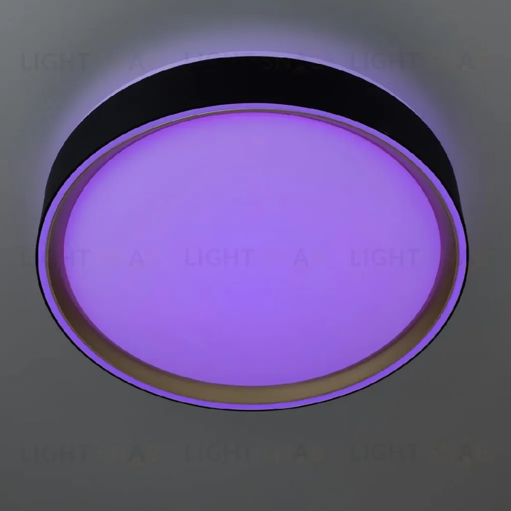 Потолочный светильник Citilux Boss CL751251G CL751251G
