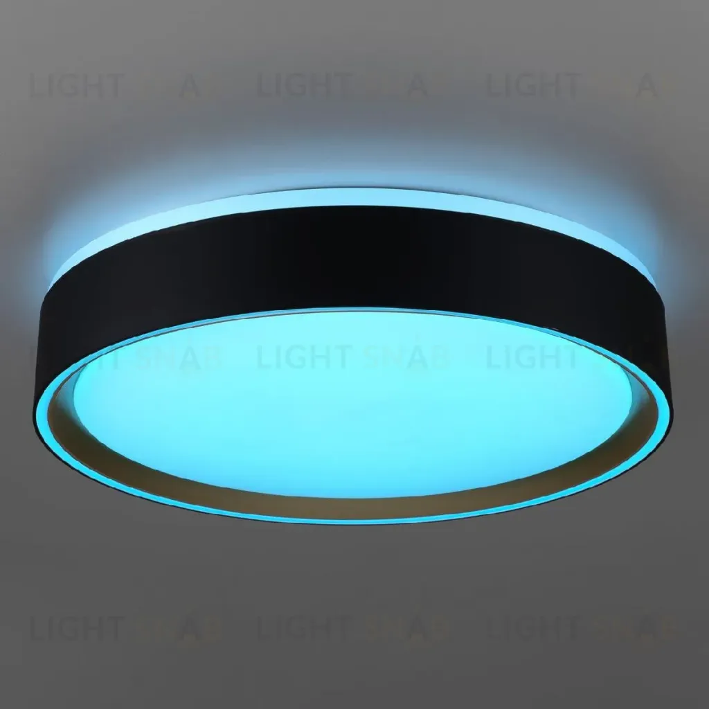 Потолочный светильник Citilux Boss CL751251G CL751251G