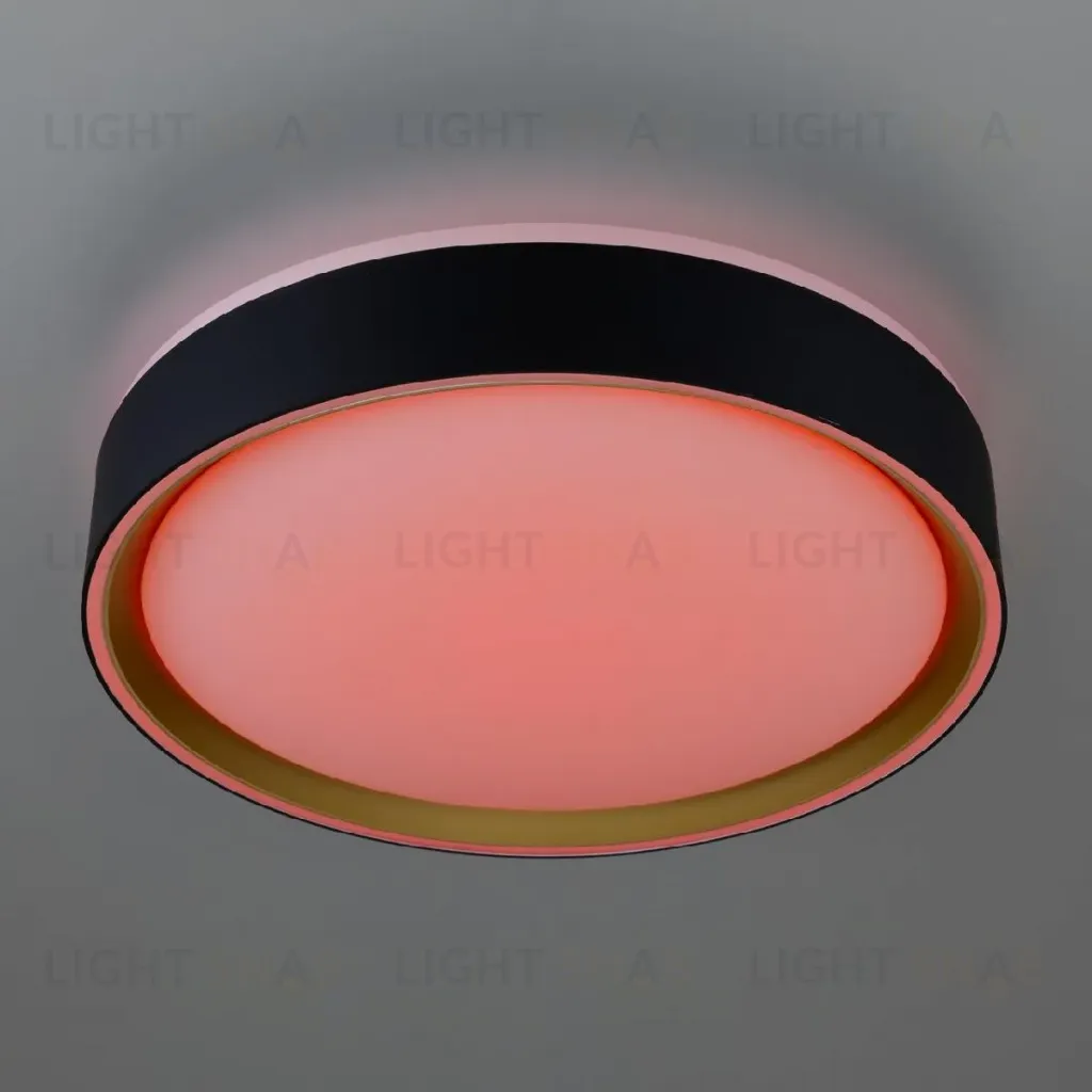 Потолочный светильник Citilux Boss CL751251G CL751251G