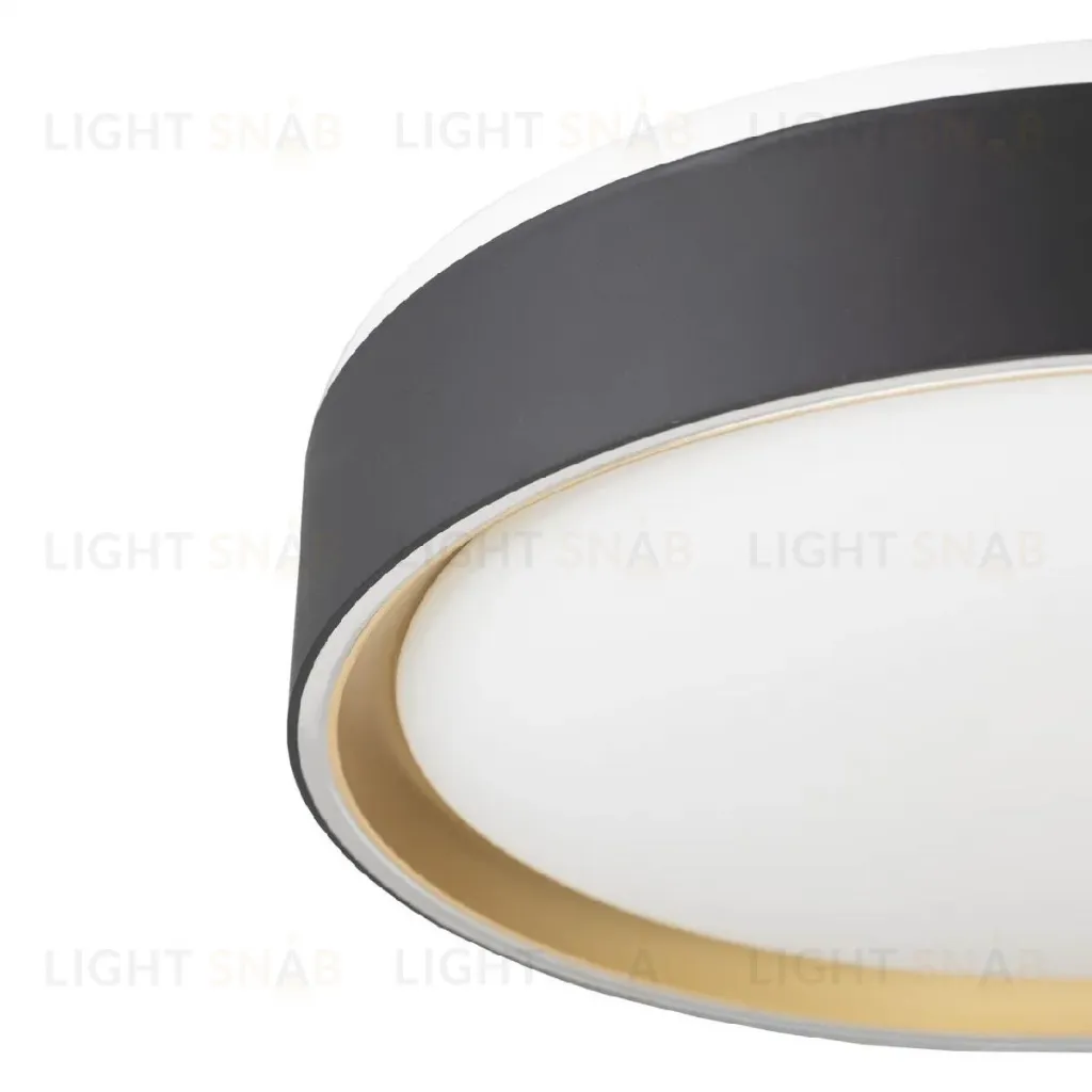 Потолочный светильник Citilux Boss CL751251G CL751251G