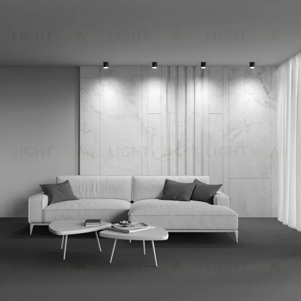 Накладной светильник Maytoni Polar C088CL-GX53-B C088CL-GX53-B