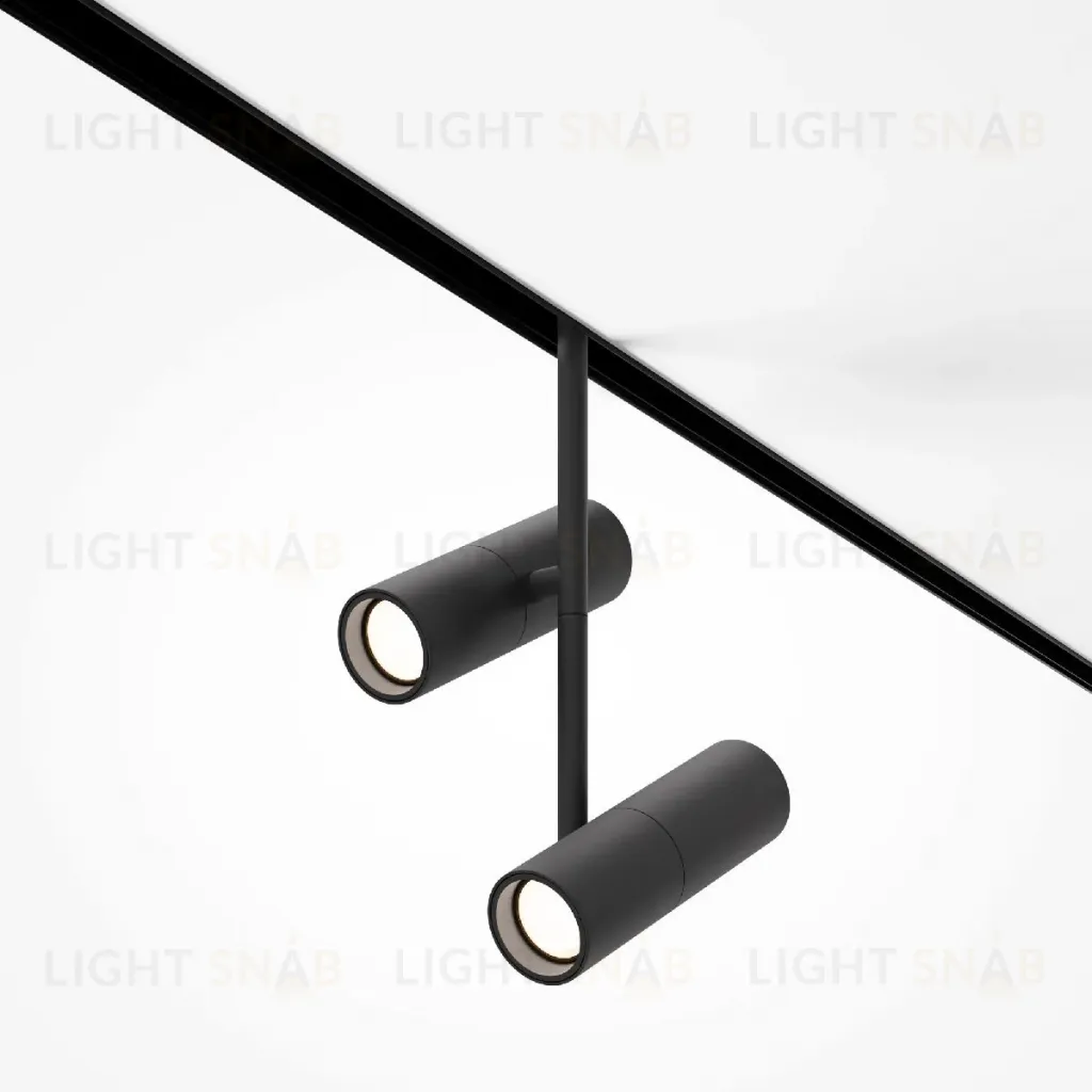 Трековый магнитный светильник Maytoni Elti Duo TR005-4-2X12W-DS-B TR005-4-2X12W-DS-B