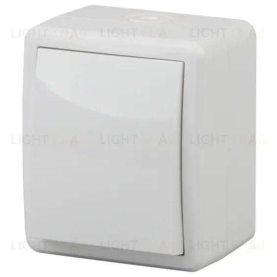 Выключатель одноклавишный ЭРА Эксперт 10AX 250V IP54 11-1401-01 Б0020669 Б0020669