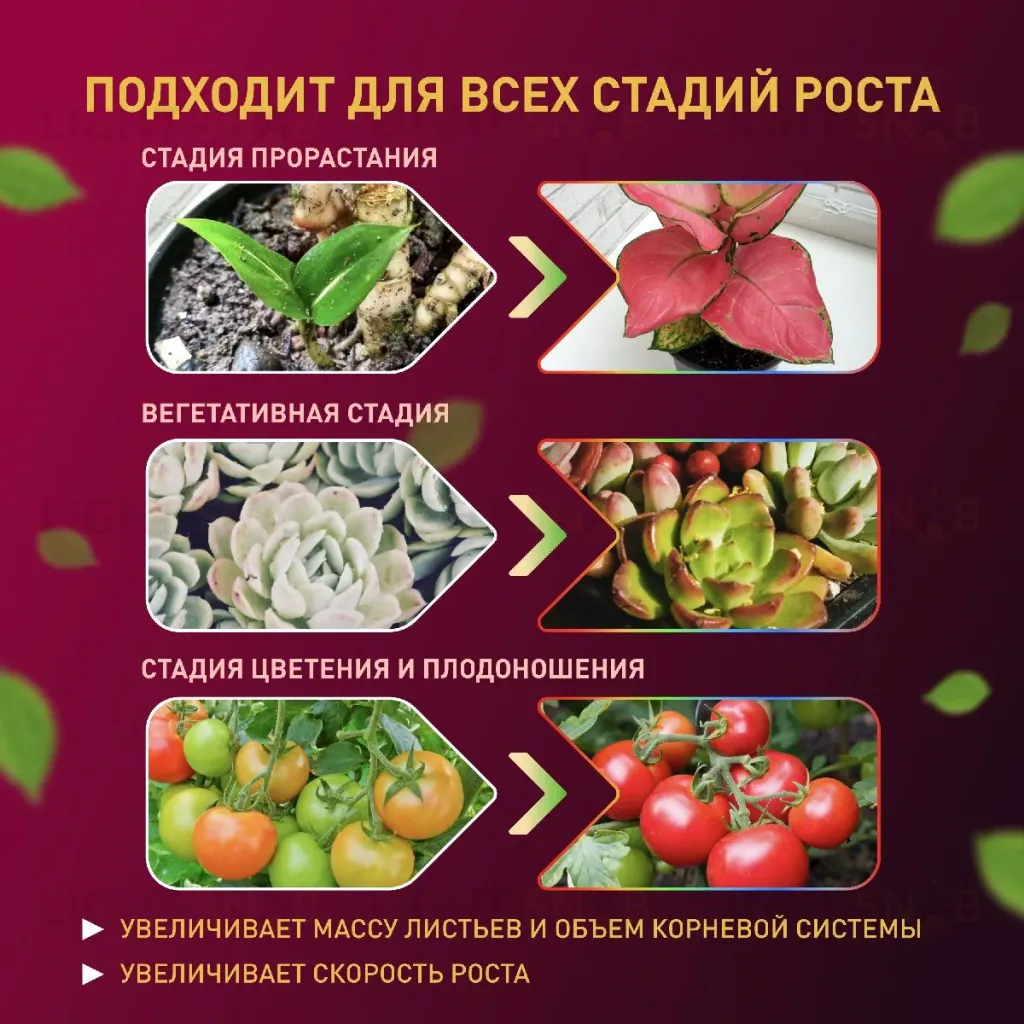 Светодиодная лента Эра FITO-Strip Light-Rа90-3m Б0059881 Б0059881