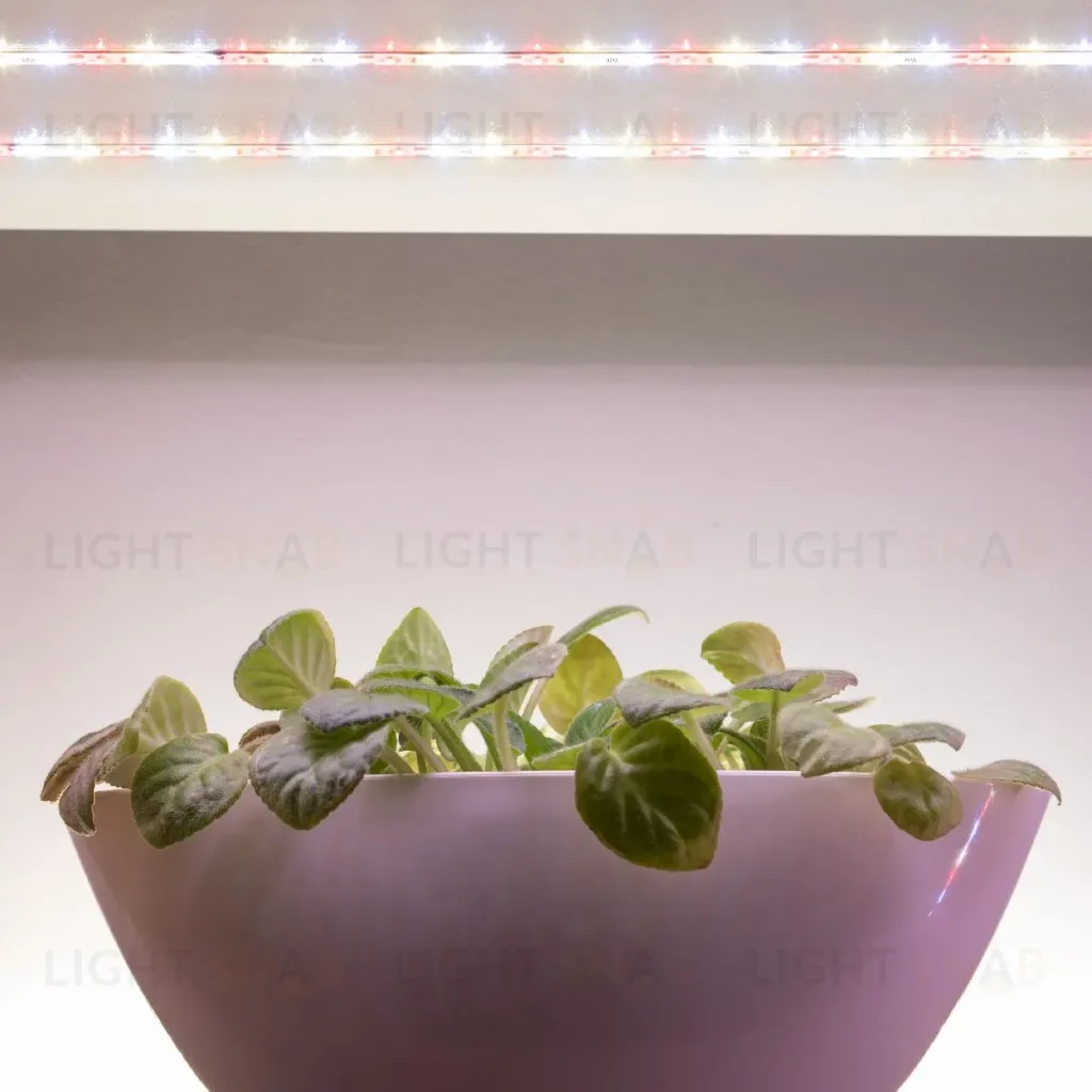 Светодиодная лента Эра FITO-Strip Light-Rа90-3m Б0059881 Б0059881