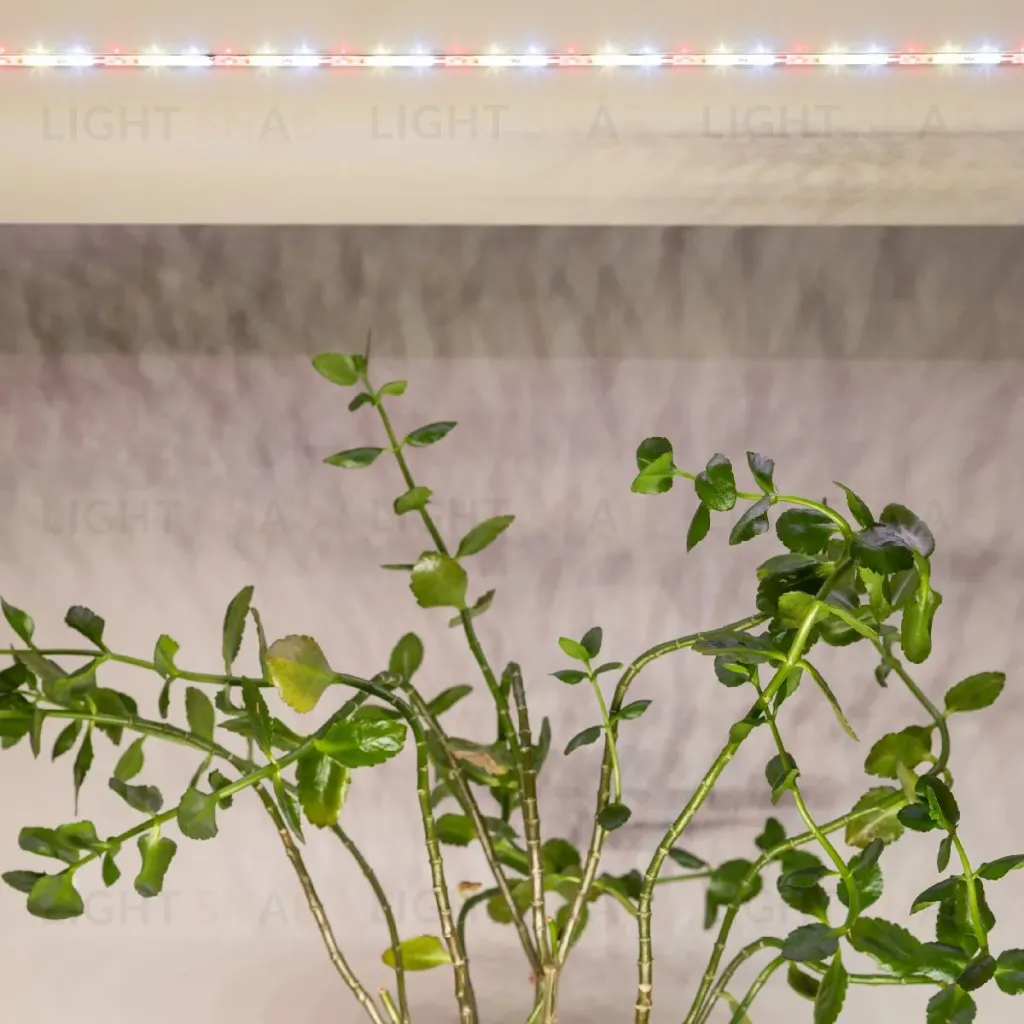 Светодиодная лента Эра FITO-Strip Light-Rа90-3m Б0059881 Б0059881