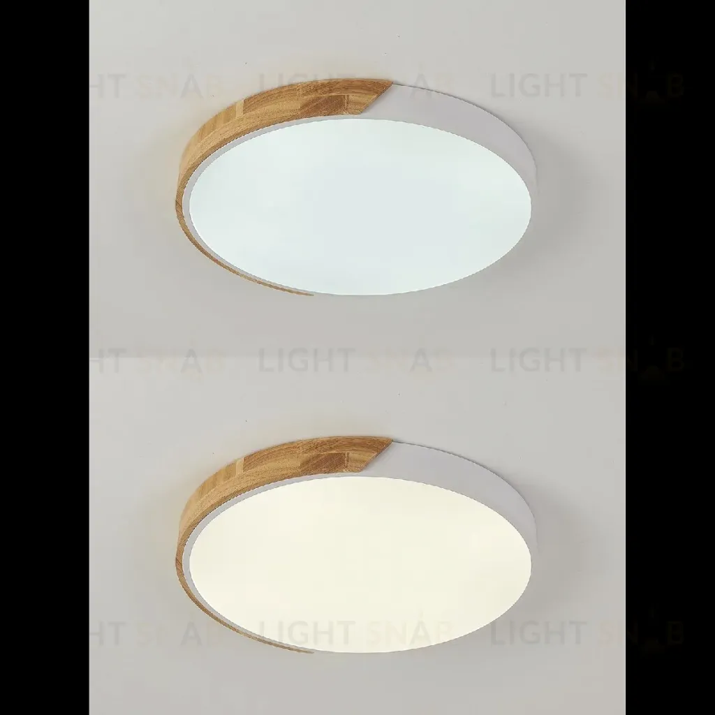 Потолочный светильник Natali Kovaltseva Scandinavian LED LAMPS 81182 LED LAMPS 81182