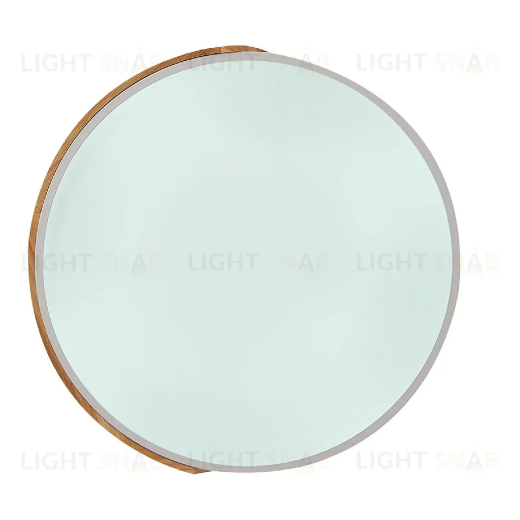 Потолочный светильник Natali Kovaltseva Scandinavian LED LAMPS 81182 LED LAMPS 81182