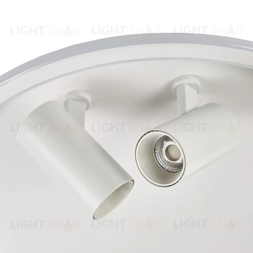 Потолочный светильник Myfar Focus MR9050-CL MR9050-CL