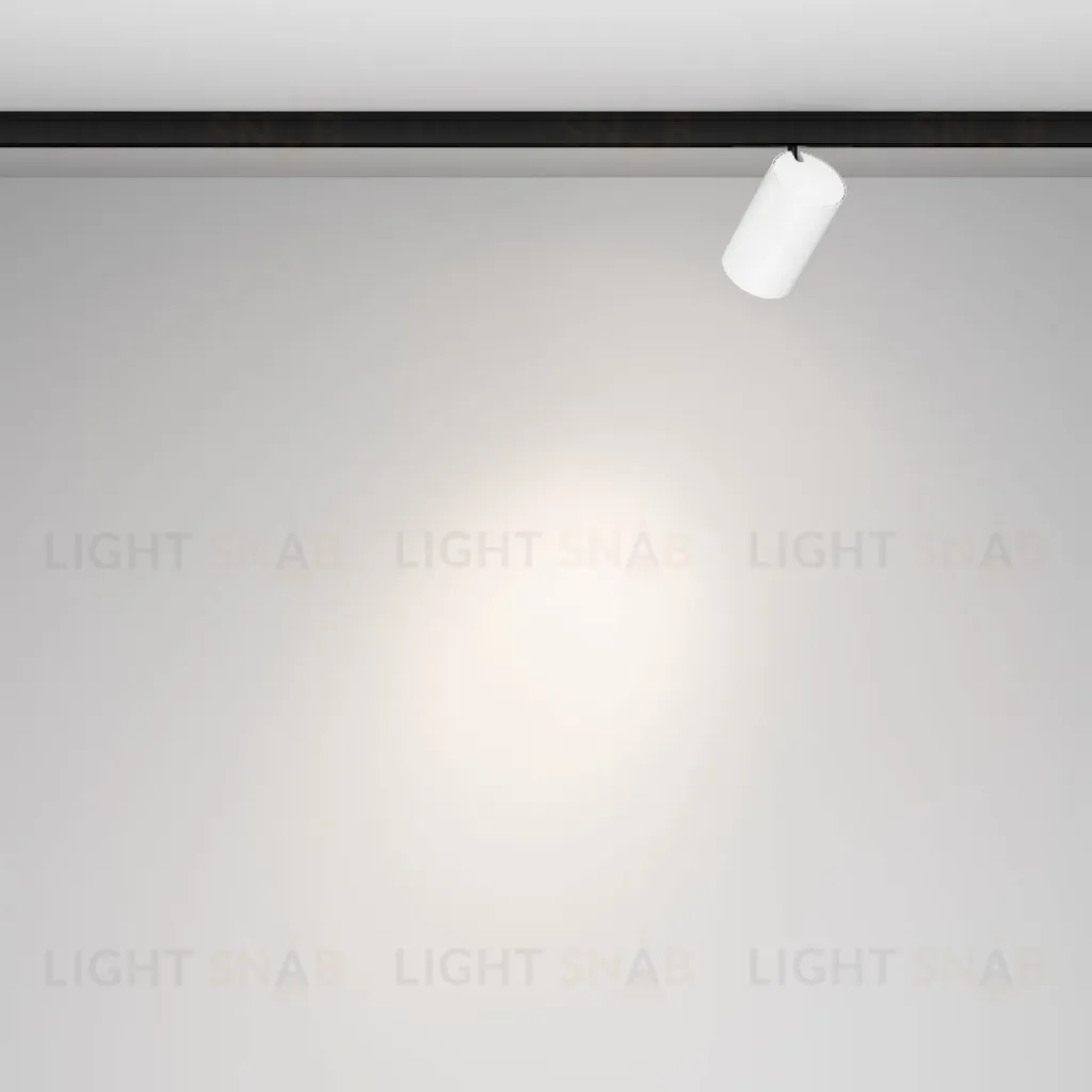 Трековый магнитный светильник Maytoni Focus Led TR187-1-5W4K-M-BW TR187-1-5W4K-M-BW