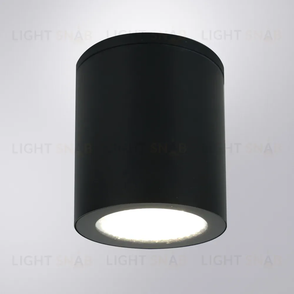 Уличный потолочный светильник Arte Lamp Torcular A1813PF-1BK A1813PF-1BK
