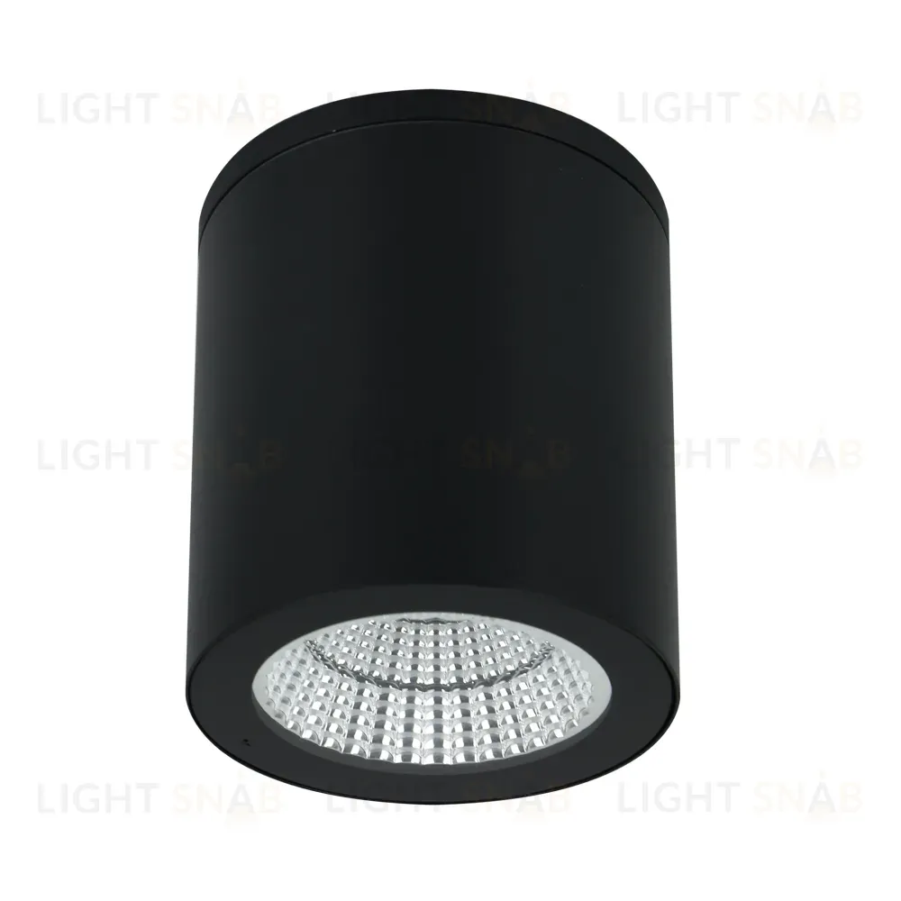 Уличный потолочный светильник Arte Lamp Torcular A1813PF-1BK A1813PF-1BK