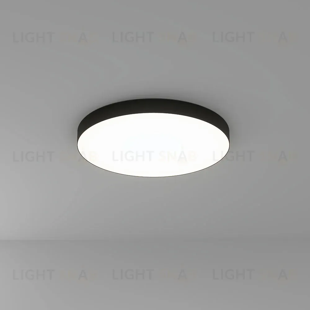 Потолочный светильник Arte Lamp Fado A6699PL-1BK A6699PL-1BK