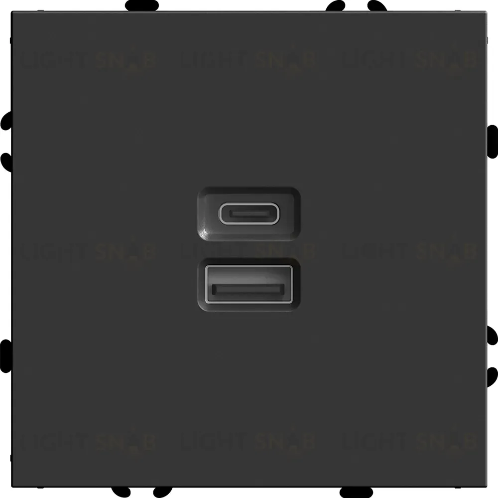 Розетка 2-местная USB + Type C Stekker RST10-5115-05 Эмили 49853 49853