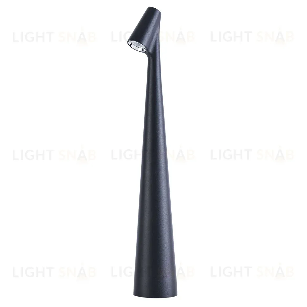Настольная лампа Arte Lamp Fusion A3283LT-2BK A3283LT-2BK