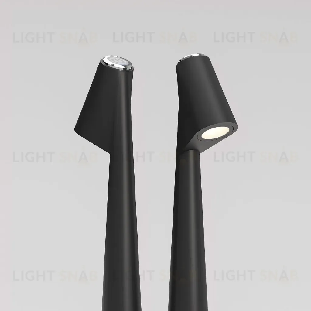 Настольная лампа Elektrostandard Elite 4690389208508 TL70250 a068070 4690389208508
