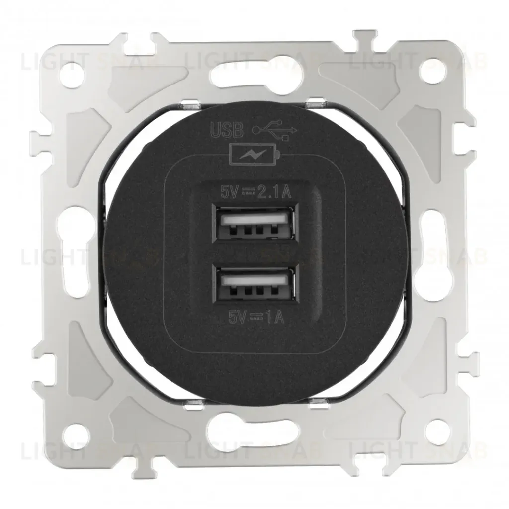 Розетка USB 2.1А+1А Arte Milano 202.46-1.black 202.46-1.black