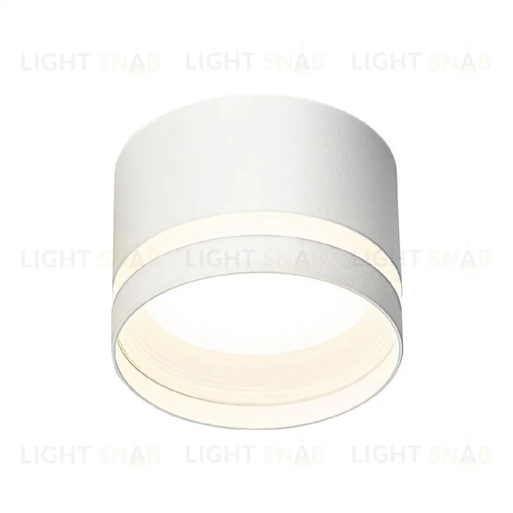 Накладной светильник Citilux Hardy CL002C10 CL002C10