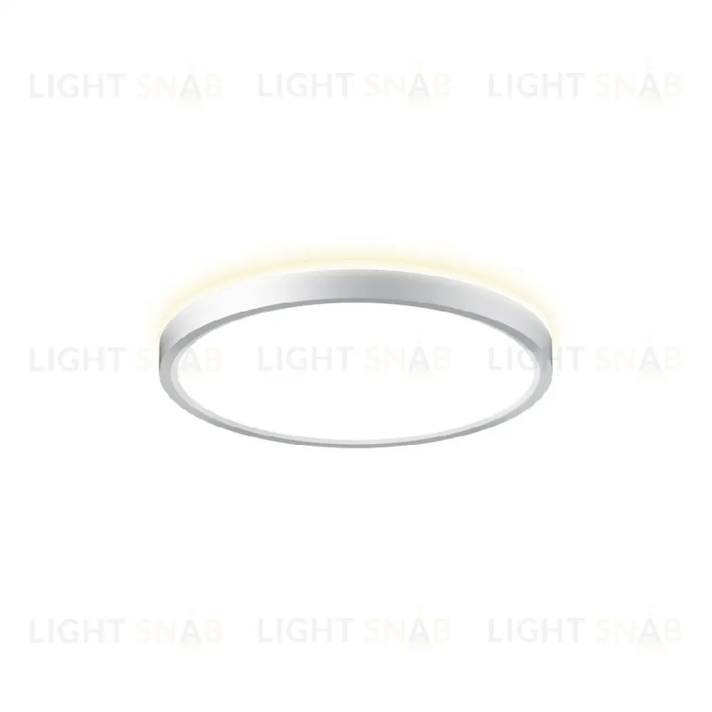 Потолочный светильник Citilux Norma CL748240 CL748240