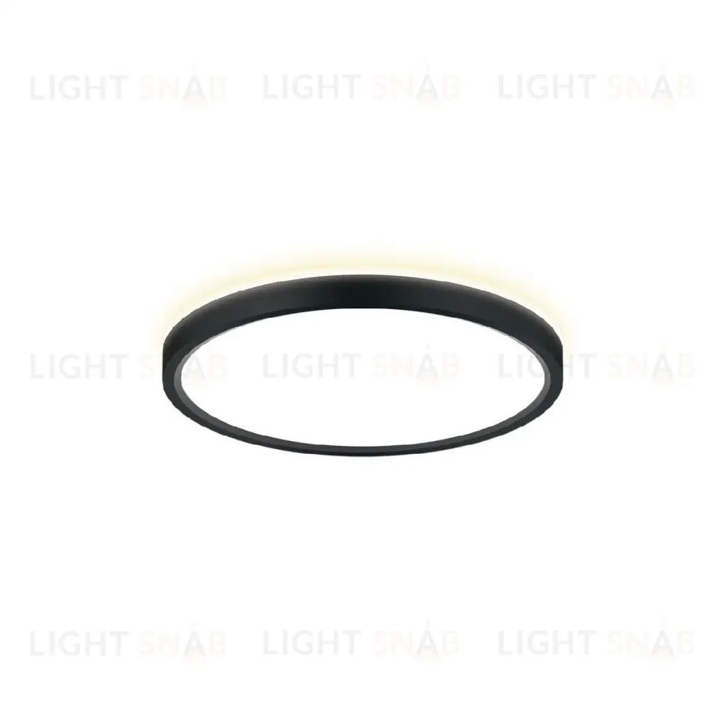Потолочный светильник Citilux Norma CL748241 CL748241